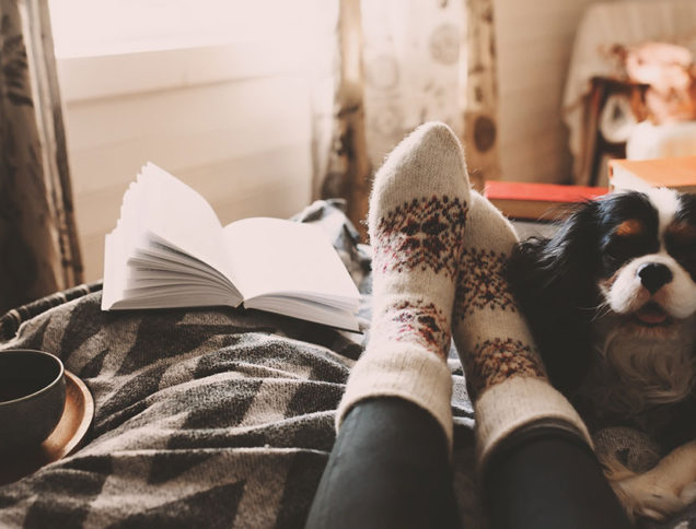 Sitting in bed with book, cozy socks and dog