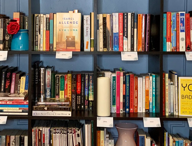 Beautiful shelves of books
