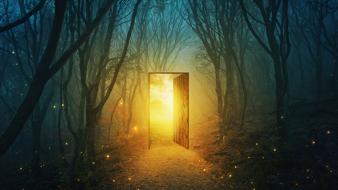 Open door in a fantasy forest