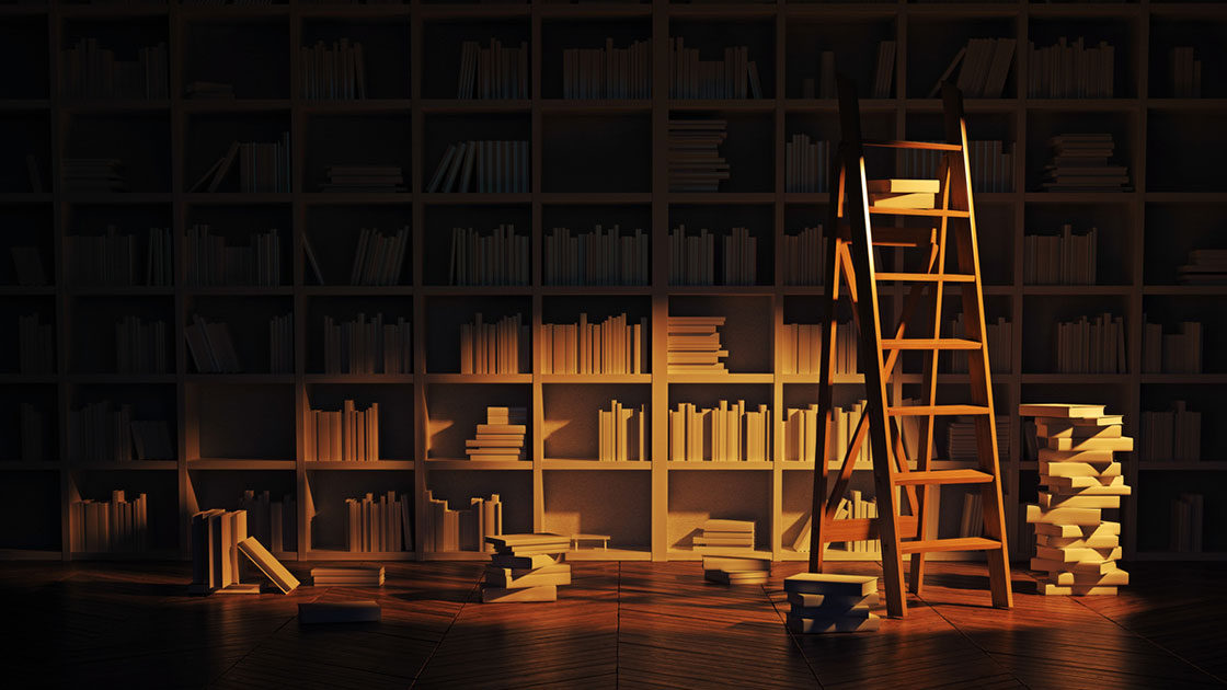 Bookshelves in the shadow