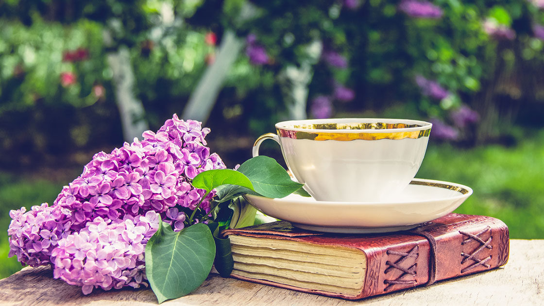 Tea cup and book in a garden