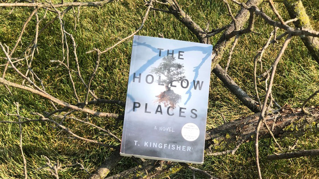 The Hollow Places set on a tree branch