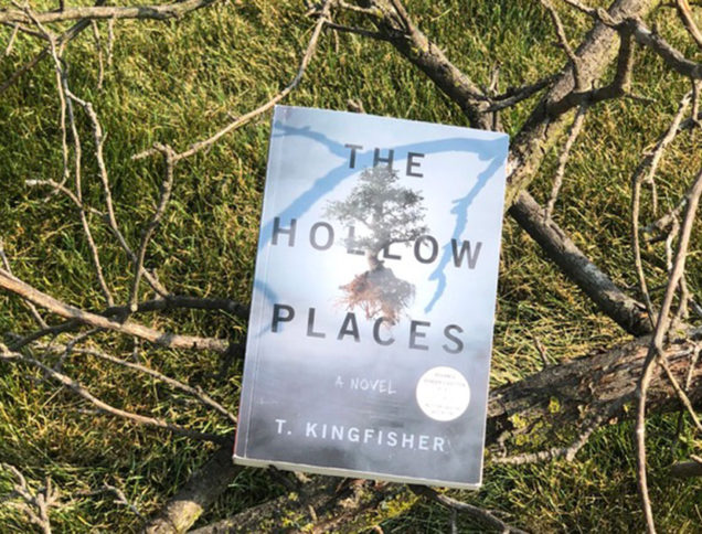The Hollow Places set on a tree branch